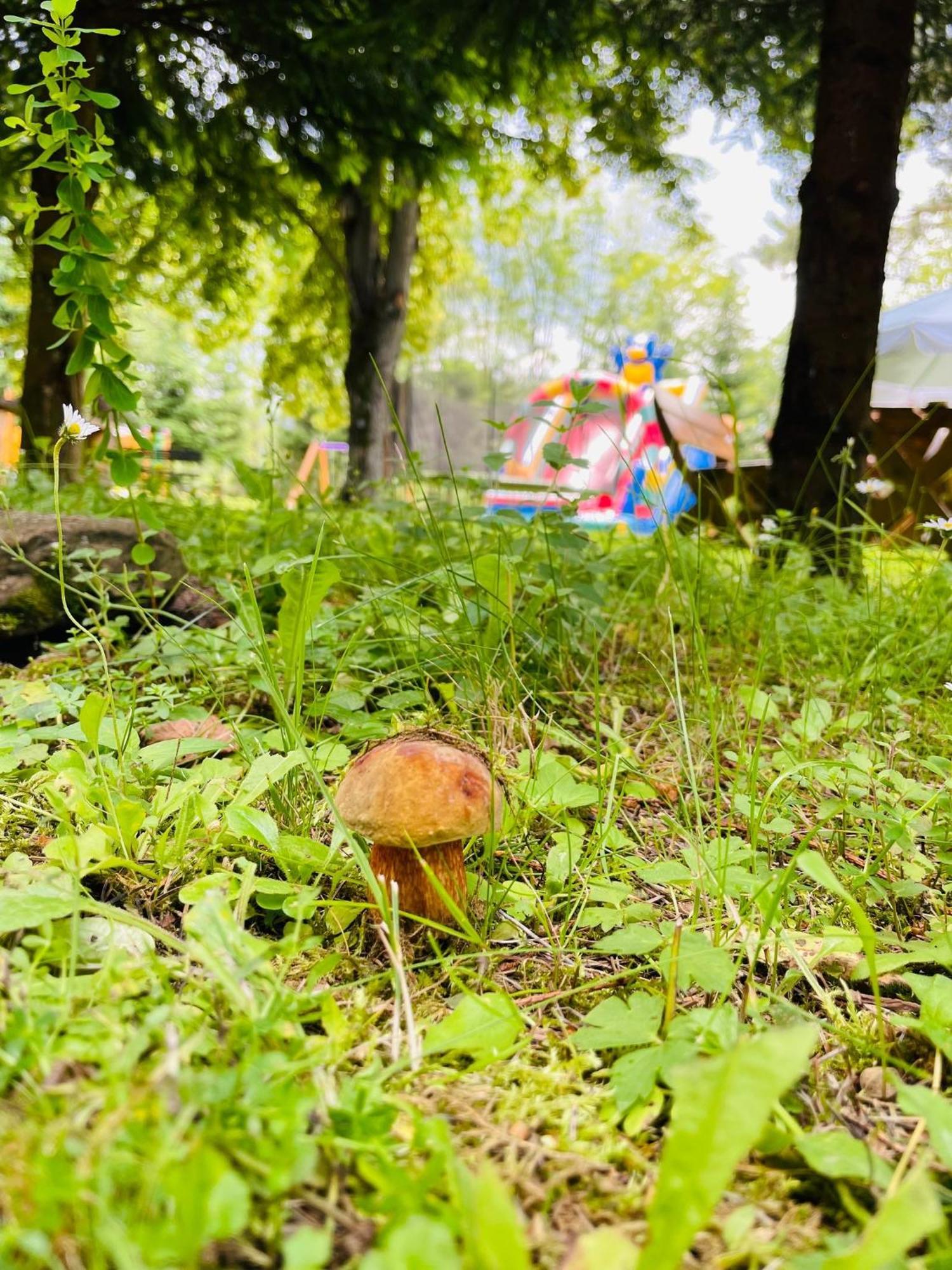 Osrodek Wczasow Zdrowotnych Rudawka Rymanowska Apartment Luaran gambar